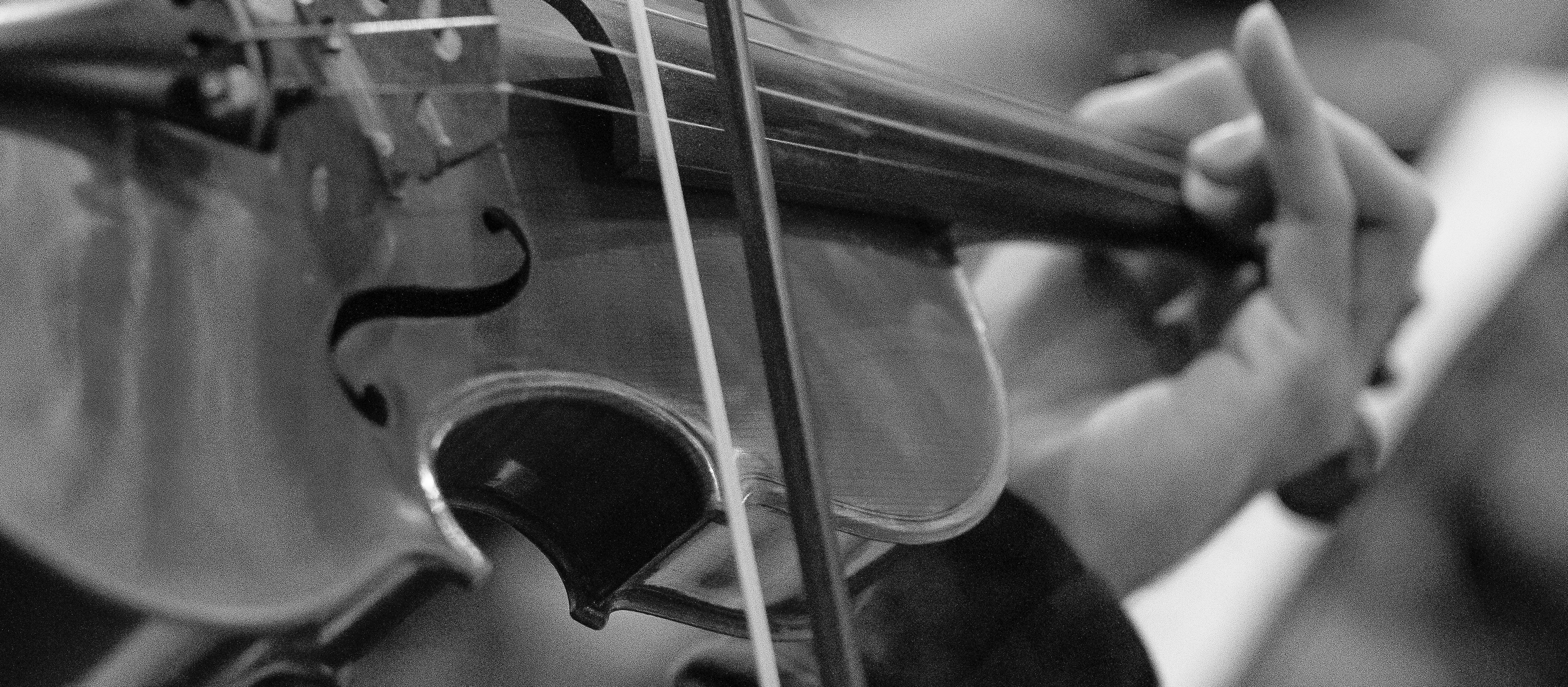 Solo Violin Bill Alpert