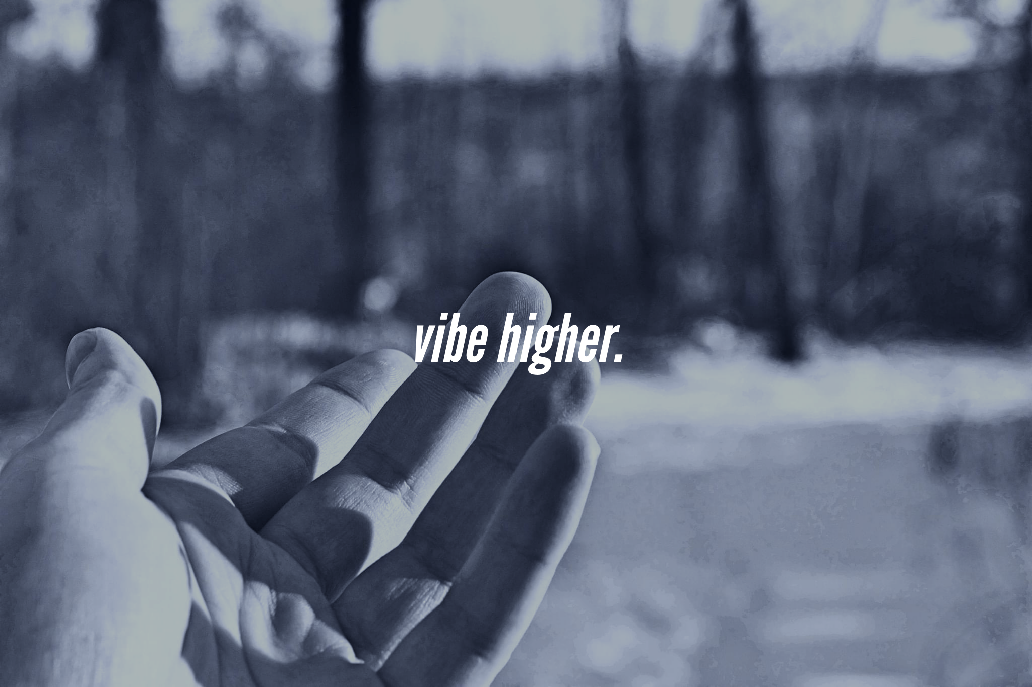 Rachel Wahlin Photography - Milwaukee, WI