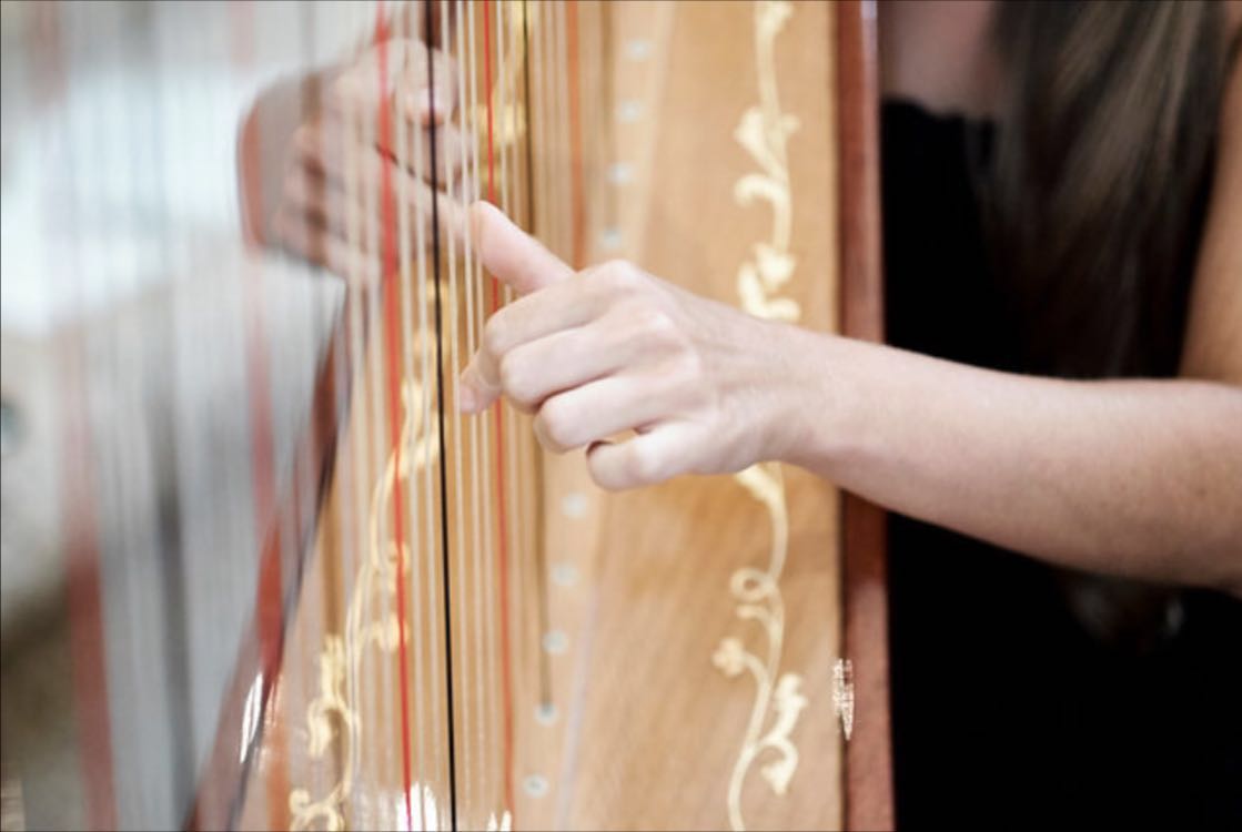 Eleonora Pellegrini - Harpist - Calistoga, CA
