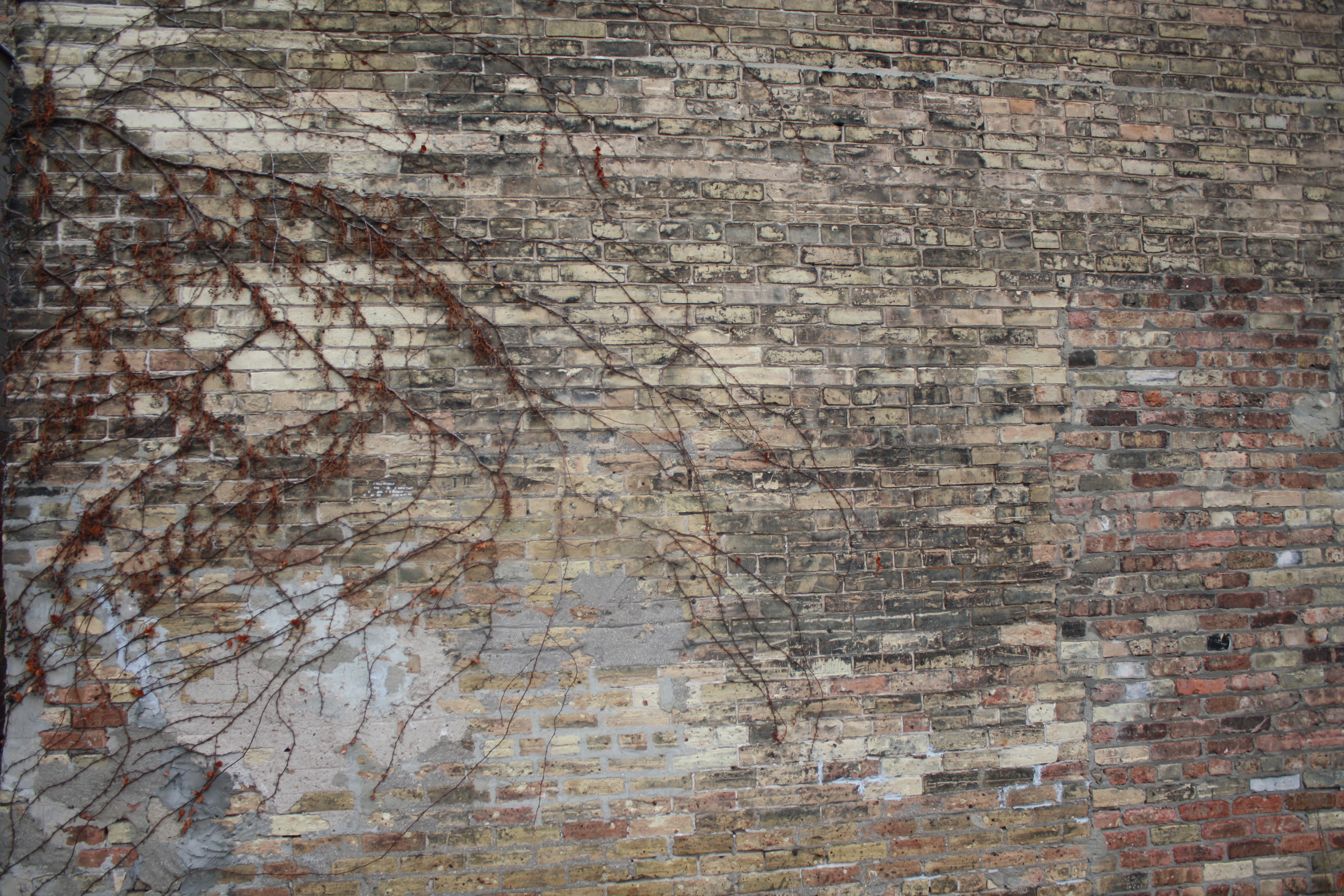 Jayna Rouse - Milwaukee, WI