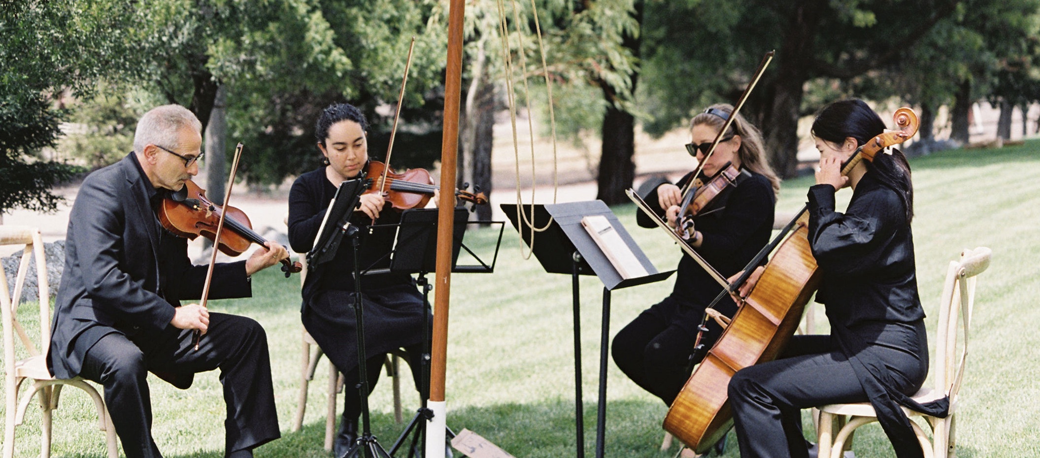 The 805 String Quartet 
