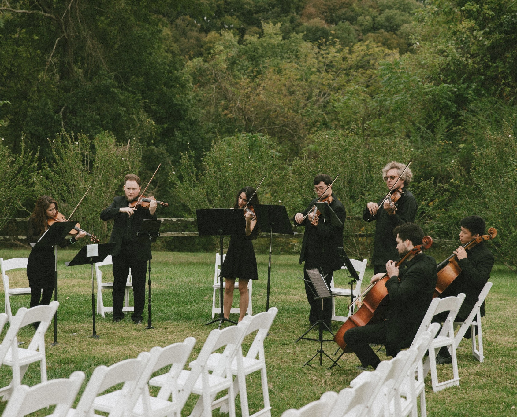 Rhose Studio Strings