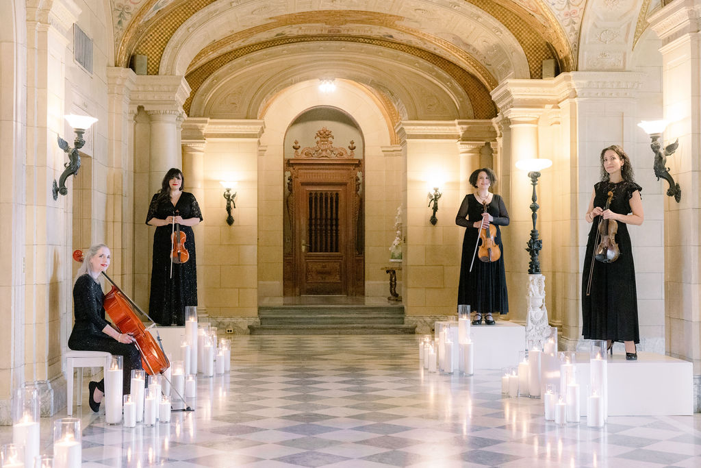 Ariana Strings - Jamesport, NY