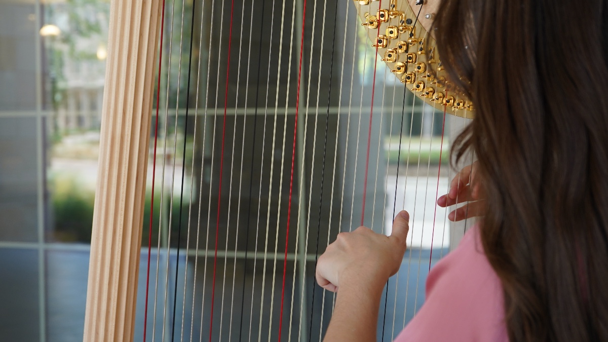 Carrie Tollett - Wilmer, TX