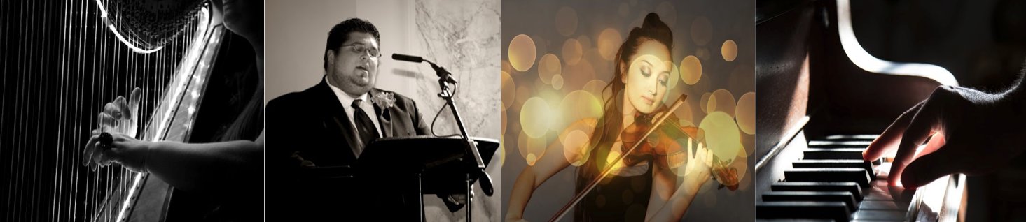 Wedding Ceremony Musicians - Milwaukee, WI