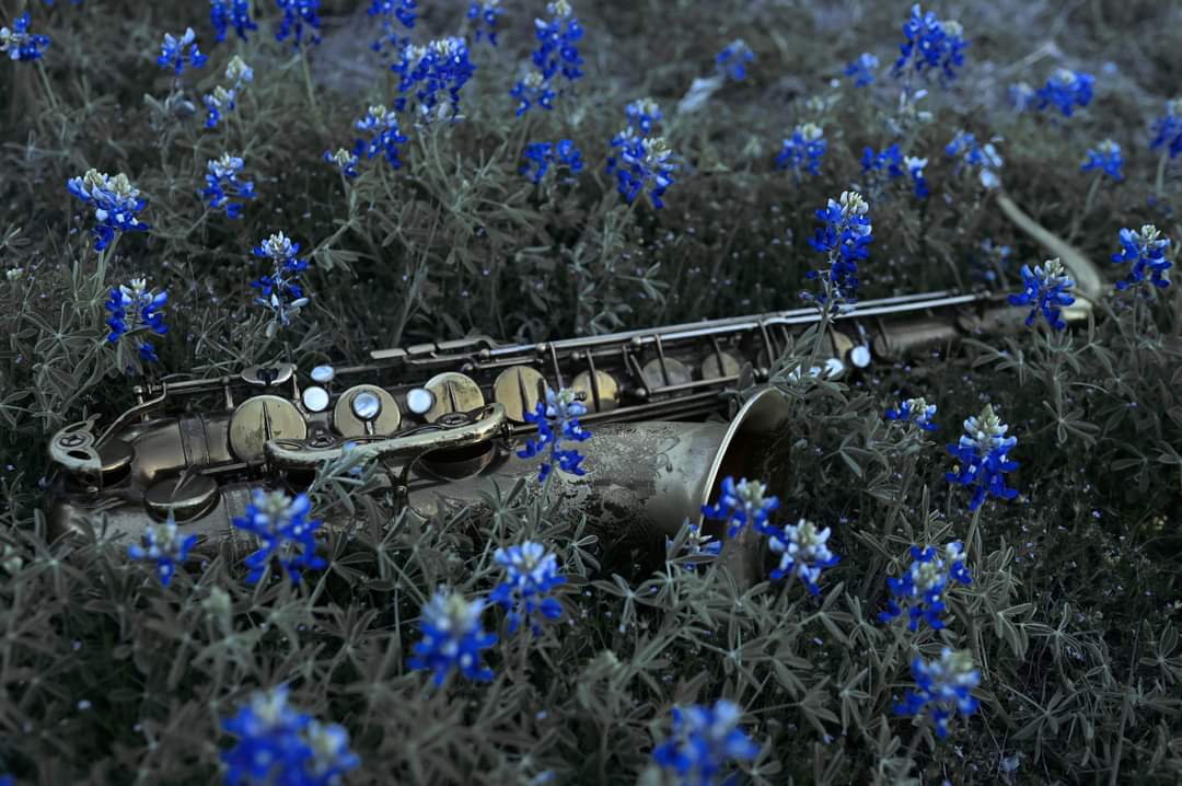 Solo Saxophone Sounds